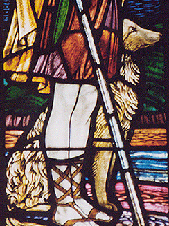 Golden retriever in the Young David window (Michaelhouse School)